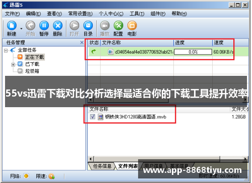 55vs迅雷下载对比分析选择最适合你的下载工具提升效率